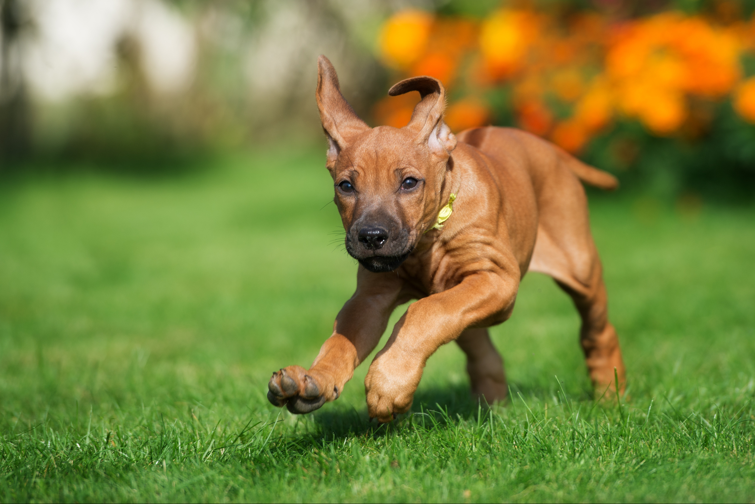 One option to get superb results on your exercise tracker. Photo courtesy of Adobe Stock.